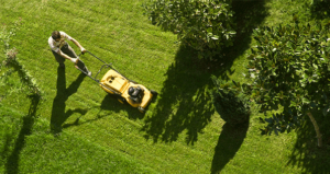 aidepourtout-entretien-jardin-exterieur-mutiservice