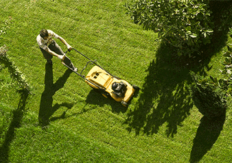 aidepourtout-entretien-jardin-exterieur-mutiservice-menu