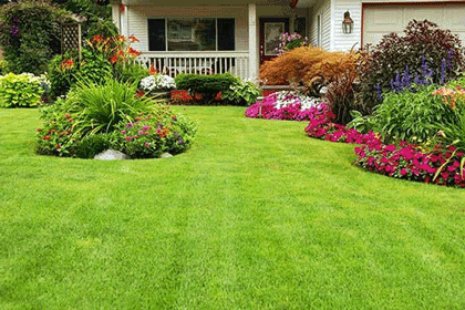 aidepourtout-tonte-entretien-jardin-exterieur-mutiservice