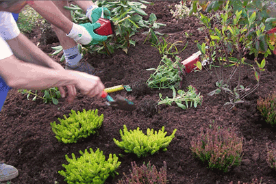 aidepourtout-tonte-plantations-jardin-exterieur-mutiservice