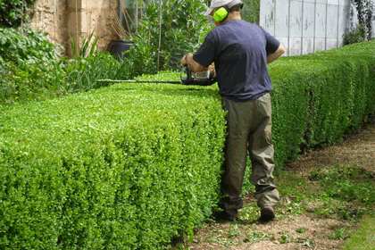 aidepourtout-tonte-taille-haie-jardin-exterieur-mutiservice
